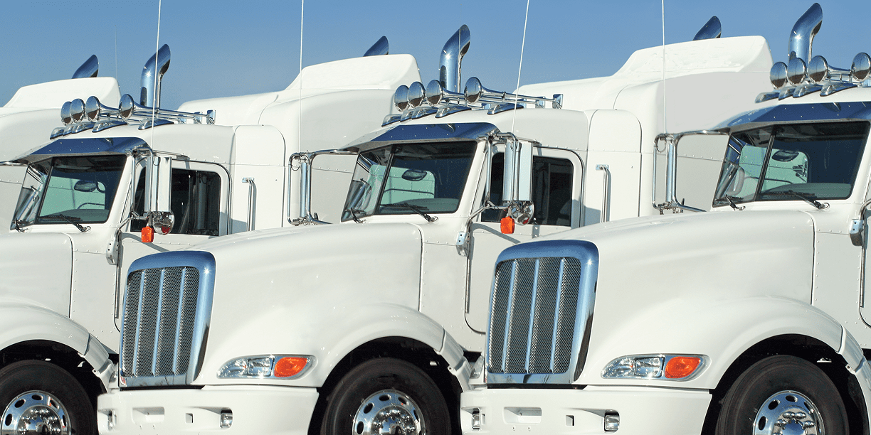 White semi-trucks lined up in row.